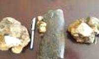 Discover rhinoceros fossils Rhinoceros siensis near Ruc people
