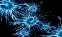 Discover the cause of schizophrenia and autism