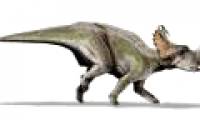 Discover the largest dinosaur cemetery in the world