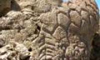 Discover the most ancient mysterious carvings of North America
