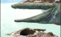 Discover the most original 4-legged fossil fossils
