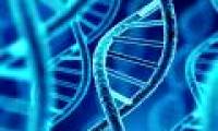 Discover the oldest DNA man in North America