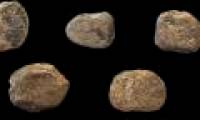 Discover the oldest fishing net lead ever