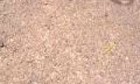 Discover the oldest surface on Earth