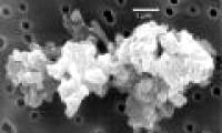 Discover the origin of cosmic dust on Earth
