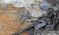 Discover the ruins of the savage tribal war in Europe