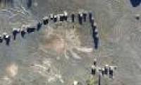 Discover the world's oldest forest ruins