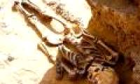 Discover treasure and 2,000-year-old aristocratic skeleton in Russia