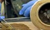 Discover treasures that contain extremely valuable gold coins on the Black Sea coast