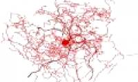 Discover two unknown structures in the human brain