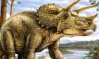 Discovered 2 new dinosaurs that hurt archaeologists