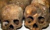 Discovered a 1,300-year-old mass grave