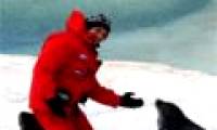 Discovered a 250 million year fossil forest in Antarctica