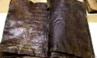 Discovered a book by animal skin that shook the Christian believers