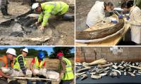 Discovered a mammoth cemetery more than 210,000 years old