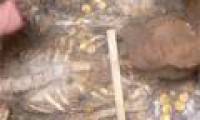 Discovered a tomb full of treasures in southern Russia