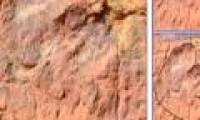 Discovered dinosaur footprint 150 million years