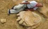 Discovered giant dinosaur footprints in the Mongolian desert