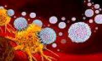 Discovered immune mechanism 'can treat all types of cancer'
