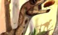 Discovered new dinosaurs, dating back 200 million years