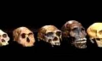 Discovered the mysterious 'ghost tribe' in West Africa