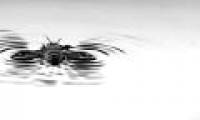 Discovered the unique ability of bees to save themselves from drowning