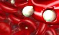 Discovered two variants of resistance to malaria