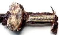 Discovering a gold-plated sword in a tomb of the ancient warrior
