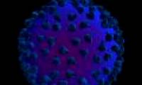 Discovering a new, more frightening HIV virus strain!