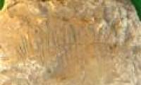 Discovering a sundial over 3,000 years old