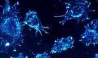 Discovering factors in the body that make cancer cells 'kill themselves'