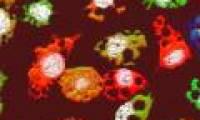 Discovering new 'monsters' has the ability to invade a human body