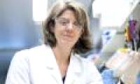 Discovering new proteins can destroy cancer cells