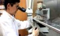 Discovering new stem cells in human skin and bones