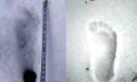 Discovering the footprints of the Snowman in Nepal