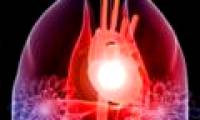Discovering the mechanism involved in the contraction of heart muscle