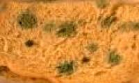 Distinguish edible and non-edible mold