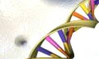 DNA carries an ancient viral signature capable of destroying cancer