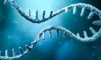 DNA test method can detect many genetic diseases at the same time