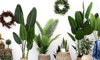 Do fake plants make us feel good?