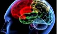 Do not assess intelligence through IQ points