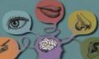 Do people really have only 5 senses?