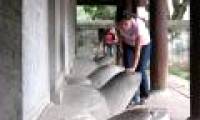 Doctorate doctor becomes 'UNESCO World Memory'