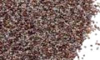 Does poppy seed make you escape a drug test?