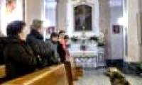 Dog tired waiting for the owner to die at the church