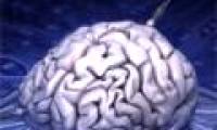 Doing many things at the same time is not good for the brain