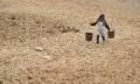 Drought causes serious electricity shortages in China
