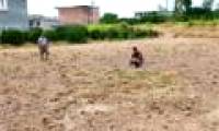 Drought in Spain is the most serious in 150 years