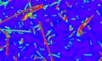 Dyeing bacteria to study extraterrestrial life
