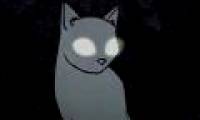 Each animal has the secret to seeing in the dark differently